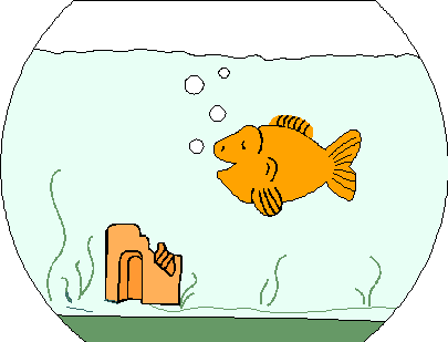 Goldfish.gif